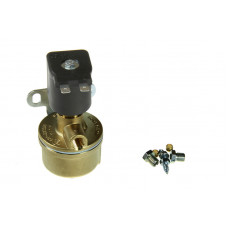 Supape electrice Tomasetto Electrovalva de gaz electrovalva 12 volti de mare capacitate filtru intern intrare si de iesire pe M10x1 conector 6mm teava TOMASETTO LPG EGAT1001 Supape electrice Tomasetto Electrovalva de gaz electrovalva 12 volti de mare capacitate filtru intern intrare si de iesire pe M10x1 conector 6mm teava TOMASETTO LPG EGAT1001