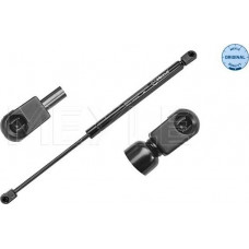 Amortizor portbagaj RENAULT MEGANE II (EM0/1_), Sabrioleta, 09.2003 - 03.2010 Meyle 16-40 910 0019 Amortizor portbagaj RENAULT MEGANE II (EM0/1_), Sabrioleta, 09.2003 - 03.2010 Meyle 16-40 910 0019