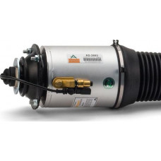 Brat arc pneumatic Modul aer Fata Stanga BENTLEY CONTINENTAL CONTINENTAL FLYING SPUR VW PHAETON 3.0D-6.0ALK 04.02 BENTLEY CONTINENTAL (3W_, 393), Compartiment, 06.2003 - Arnott AS-2893 Brat arc pneumatic Modul aer Fata Stanga BENTLEY CONTINENTAL CONTINENTAL FLYING SPUR VW PHAETON 3.0D-6.0ALK 04.02 BENTLEY CONTINENTAL (3W_, 393), Compartiment, 06.2003 - Arnott AS-2893