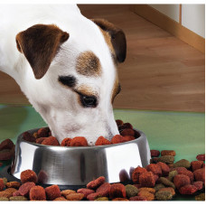 Castron Metalic pentru hranire animale de companie - 29cm Castron Metalic pentru hranire animale de companie - 29cm