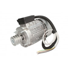 Piese si accesorii pentru elevatoare Silnik 400V 26KW CW300 do podnosnika OMA 504A OMA B021401 Piese si accesorii pentru elevatoare Silnik 400V 26KW CW300 do podnosnika OMA 504A OMA B021401