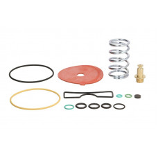 Kituri de reparare a reductorului Vaporizer repair kit Spring Valve reducer: GENIUS MB BRC LPG BRC/Z1500 Kituri de reparare a reductorului Vaporizer repair kit Spring Valve reducer: GENIUS MB BRC LPG BRC/Z1500