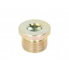 Surub de golire, baia de ulei DT pneumatice element de DT KLIMA 9.29014