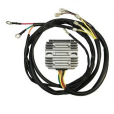 Regulator, alternator Voltage regulator 12V 25A BMW R MOTO GUZZI CALIFORNIA GT LM MILLE NTX S S3 SP SP2 SP3 T T3 T4 T5 V V35 V50 V65 V7 V75 80-1000 1970-2001 DZE DZE02512 Regulator, alternator Voltage regulator 12V 25A BMW R MOTO GUZZI CALIFORNIA GT LM MILLE NTX S S3 SP SP2 SP3 T T3 T4 T5 V V35 V50 V65 V7 V75 80-1000 1970-2001 DZE DZE02512