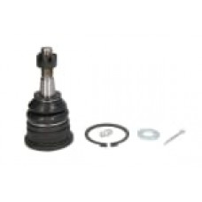 Articulatie sarcina/ghidare Pivot axa Dreapta/Stanga superior fata FORD USA EXPLORER LINCOLN AVIATOR 4.0/4.6 09.01- USA K80008AT CP Articulatie sarcina/ghidare Pivot axa Dreapta/Stanga superior fata FORD USA EXPLORER LINCOLN AVIATOR 4.0/4.6 09.01- USA K80008AT CP