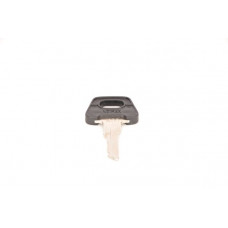 Cheie auto Tasta de blocare BOSCH 3 341 982 279
