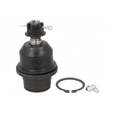 Articulatie sarcina/ghidare Pivot axa Dreapta/Stanga inferior fata FORD USA EXPEDITION F-150 LINCOLN NAVIGATOR 3.5-6.2 09.04- USA K500008AT Articulatie sarcina/ghidare Pivot axa Dreapta/Stanga inferior fata FORD USA EXPEDITION F-150 LINCOLN NAVIGATOR 3.5-6.2 09.04- USA K500008AT