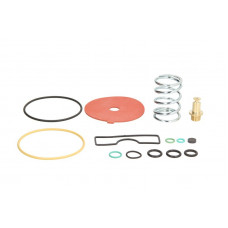 Kituri de reparare a reductorului Vaporizer repair kit Spring Valve reducer: GENIUS MB BRC LPG BRC/Z1200 Kituri de reparare a reductorului Vaporizer repair kit Spring Valve reducer: GENIUS MB BRC LPG BRC/Z1200