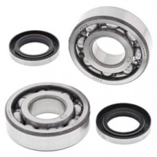 Set rulmenti arbore cotit cu garnituri KAWASAKI KDX 200 1983-1990 4RIDE AB24-1044