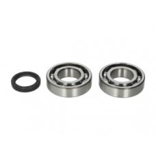 Set rulmenti arbore cotit cu garnituri KAWASAKI KX; SUZUKI RM-Z 250 2004-2020 4RIDE AB24-1081