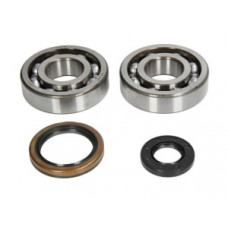 Set rulmenti arbore cotit cu garnituri SUZUKI RM 250 1994-1995 4RIDE AB24-1020