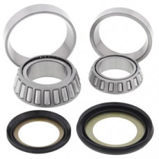 Set rulmenti capat sasiu 25x46x11 27x52x18 KAWASAKI KLX 110 2011-2017 4RIDE AB22-1063