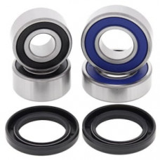 Set rulmenti roata fata cu garnituri ARCTIC CAT ARCTIC CAT, DVX; GAS GAS HP-WILD; HONDA TRX; KAWASAKI KFX; KYMCO MONGOOSE, MXU 250-700 1987-2014 4RIDE AB25-1635