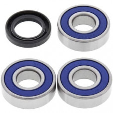 Set rulmenti spate cu garnituri HARLEY DAVIDSON XLCH, XLH 1000 1972-1978 4RIDE AB25-1370 Set rulmenti spate cu garnituri HARLEY DAVIDSON XLCH, XLH 1000 1972-1978 4RIDE AB25-1370