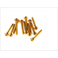 Surub surub 5x50. de aur de culoare VICMA VIC-RC550OR Surub surub 5x50. de aur de culoare VICMA VIC-RC550OR