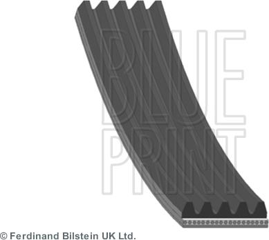 Blue Print AD05R685 - Curea transmisie cu caneluri www.autofarm.ro