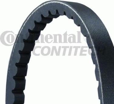 CONTINENTAL AVX13X825 - Curea transmisie www.autofarm.ro